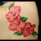 Tattoo Hibiscus.jpg