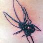 Tattoo_Spinne.jpg