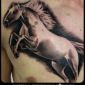 Tattoo_Pferd.jpg