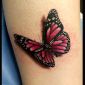 Tattoo_Schmetterling_1.jpg